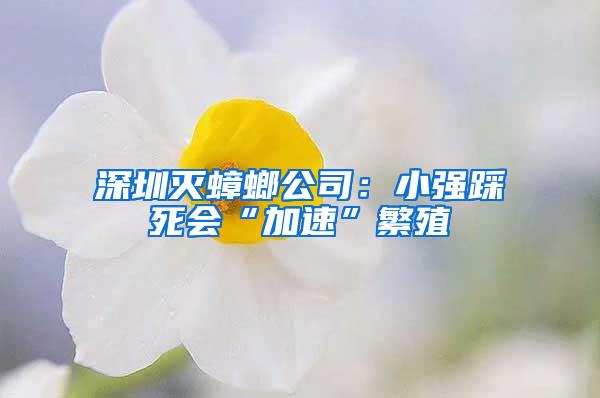 深圳灭蟑螂公司：小强踩死会“加速”繁殖