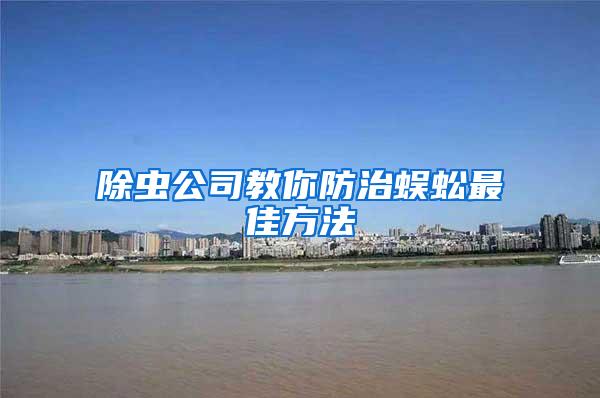 除虫公司教你防治蜈蚣最佳方法