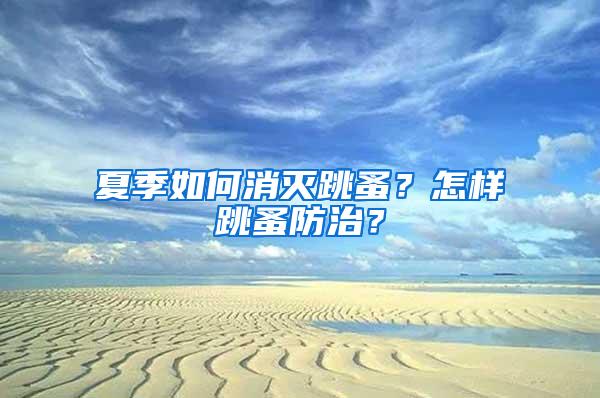 夏季如何消灭跳蚤？怎样跳蚤防治？