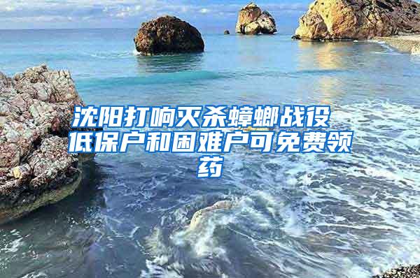 沈阳打响灭杀蟑螂战役 低保户和困难户可免费领药