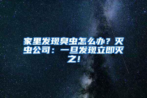 家里发现臭虫怎么办？灭虫公司：一旦发现立即灭之！