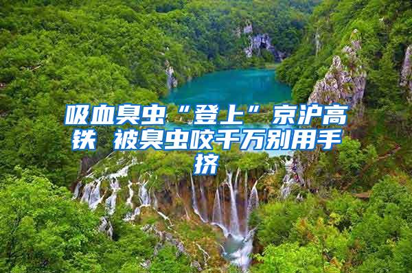 吸血臭虫“登上”京沪高铁 被臭虫咬千万别用手挤