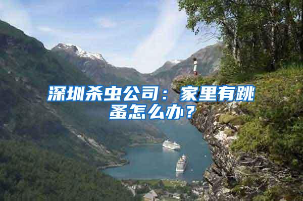 深圳杀虫公司：家里有跳蚤怎么办？