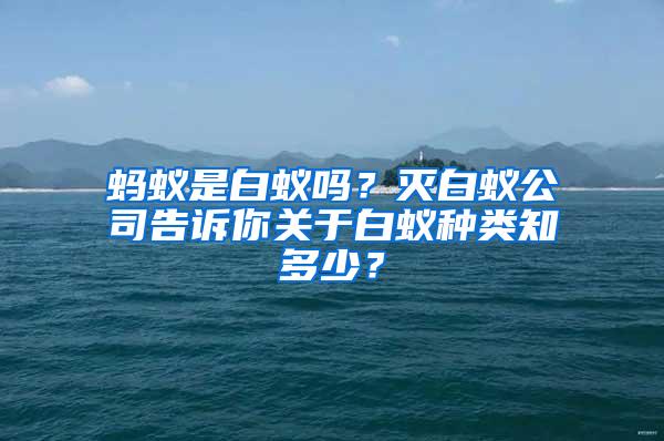 蚂蚁是白蚁吗？灭白蚁公司告诉你关于白蚁种类知多少？