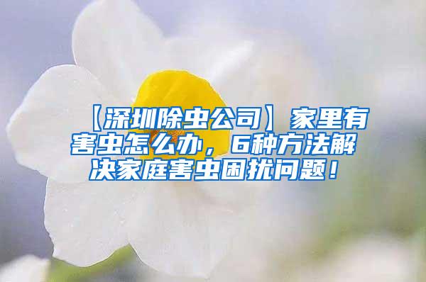 【深圳除虫公司】家里有害虫怎么办，6种方法解决家庭害虫困扰问题！