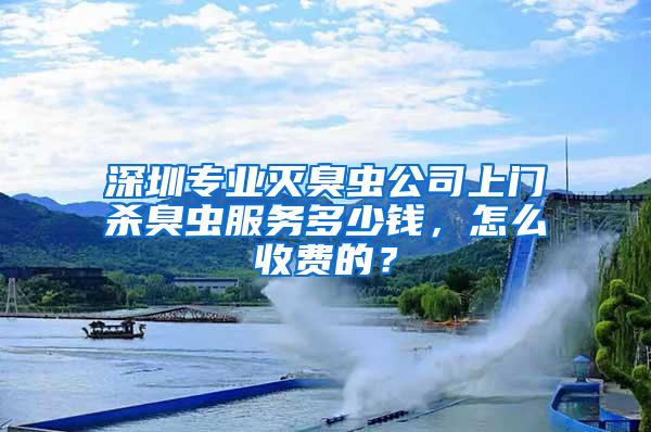 深圳专业灭臭虫公司上门杀臭虫服务多少钱，怎么收费的？