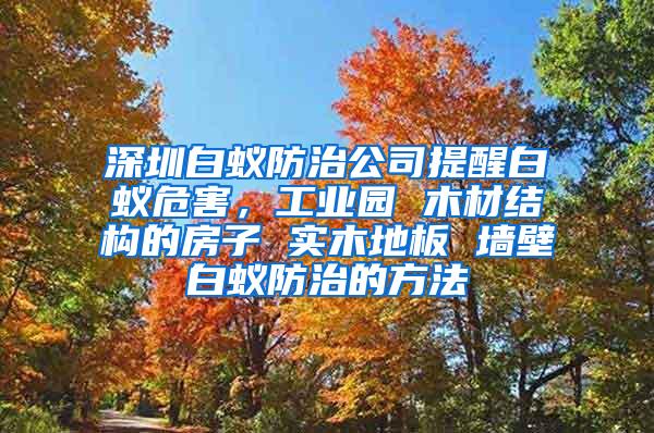 深圳白蚁防治公司提醒白蚁危害，工业园 木材结构的房子 实木地板 墙壁白蚁防治的方法