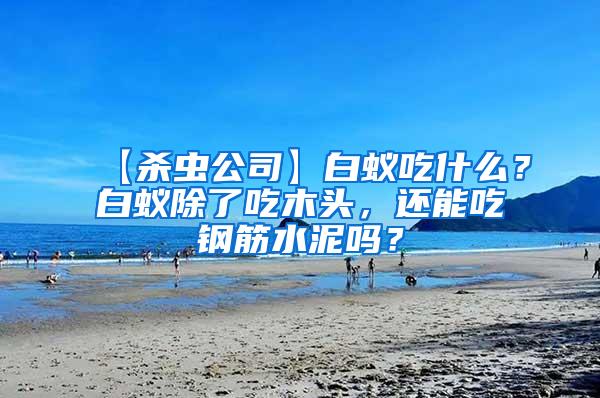 【杀虫公司】白蚁吃什么？白蚁除了吃木头，还能吃钢筋水泥吗？