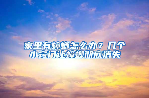 家里有蟑螂怎么办？几个小窍门让蟑螂彻底消失