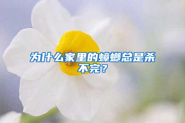 为什么家里的蟑螂总是杀不完？