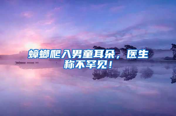 蟑螂爬入男童耳朵，医生称不罕见！