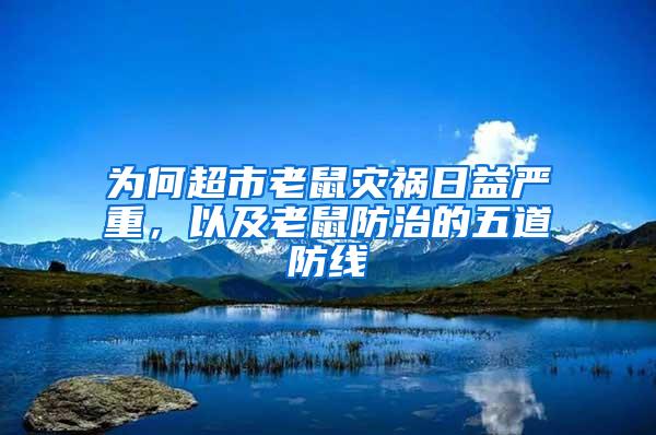 为何超市老鼠灾祸日益严重，以及老鼠防治的五道防线