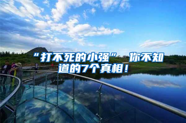 “打不死的小强” 你不知道的7个真相！