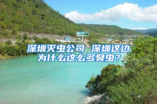 深圳灭虫公司 深圳这边为什么这么多臭虫？