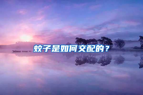 蚊子是如何交配的？