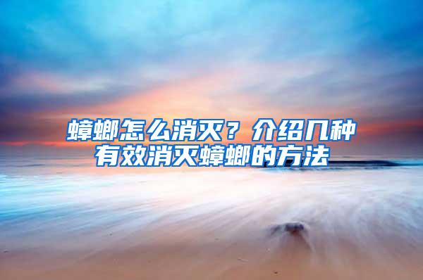 蟑螂怎么消灭？介绍几种有效消灭蟑螂的方法