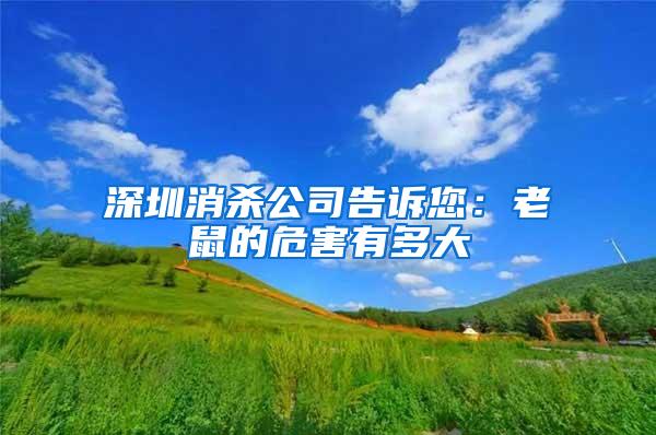 深圳消杀公司告诉您：老鼠的危害有多大