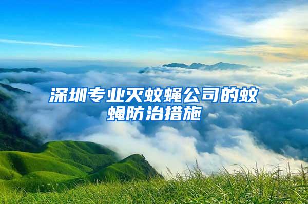 深圳专业灭蚊蝇公司的蚊蝇防治措施