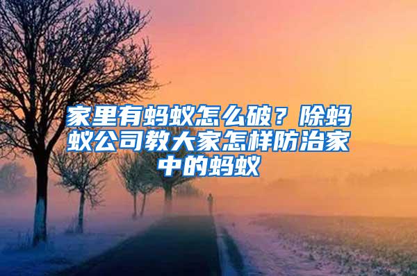 家里有蚂蚁怎么破？除蚂蚁公司教大家怎样防治家中的蚂蚁