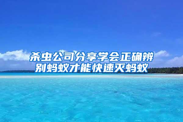 杀虫公司分享学会正确辨别蚂蚁才能快速灭蚂蚁