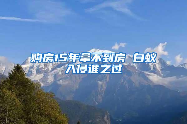 购房15年拿不到房 白蚁入侵谁之过