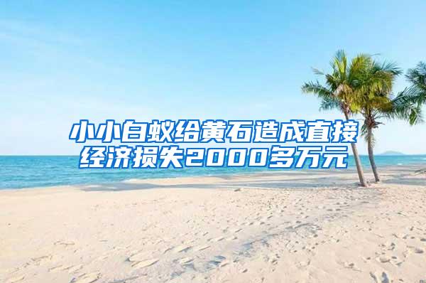 小小白蚁给黄石造成直接经济损失2000多万元