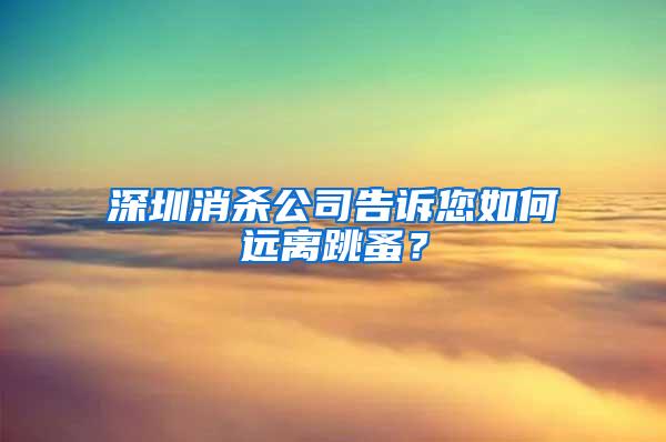 深圳消杀公司告诉您如何远离跳蚤？