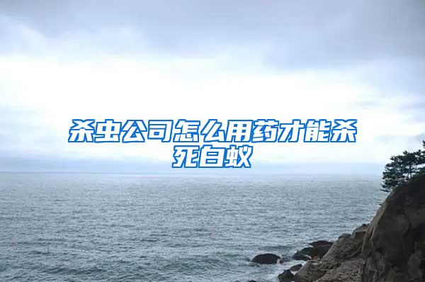 杀虫公司怎么用药才能杀死白蚁