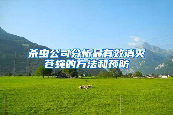 杀虫公司分析最有效消灭苍蝇的方法和预防