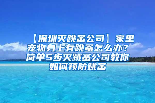 【深圳灭跳蚤公司】家里宠物身上有跳蚤怎么办？简单5步灭跳蚤公司教你如何预防跳蚤