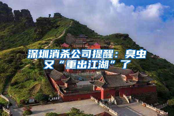 深圳消杀公司提醒：臭虫又“重出江湖”了
