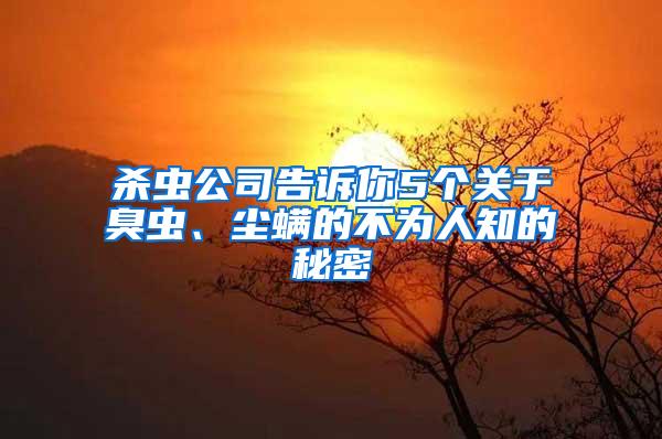 杀虫公司告诉你5个关于臭虫、尘螨的不为人知的秘密