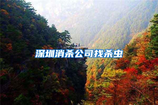 深圳消杀公司找杀虫