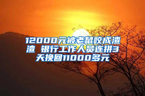 12000元被老鼠咬成渣渣 银行工作人员连拼3天挽回11000多元