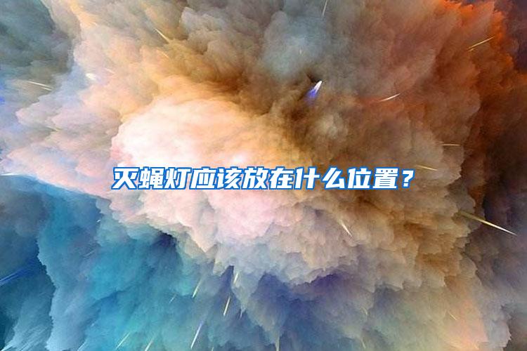 灭蝇灯应该放在什么位置？