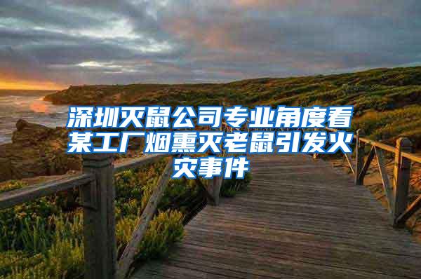 深圳灭鼠公司专业角度看某工厂烟熏灭老鼠引发火灾事件