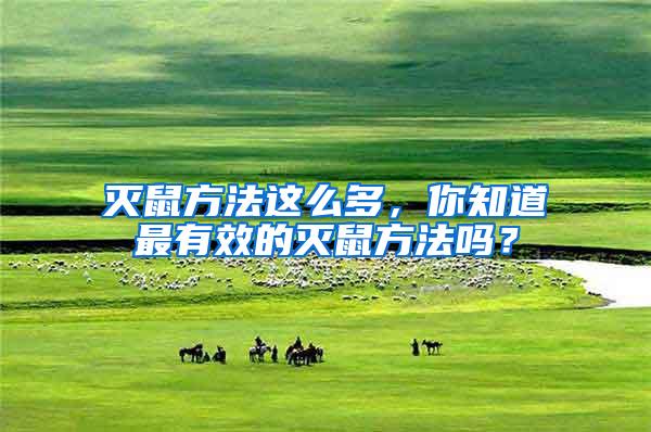 灭鼠方法这么多，你知道最有效的灭鼠方法吗？