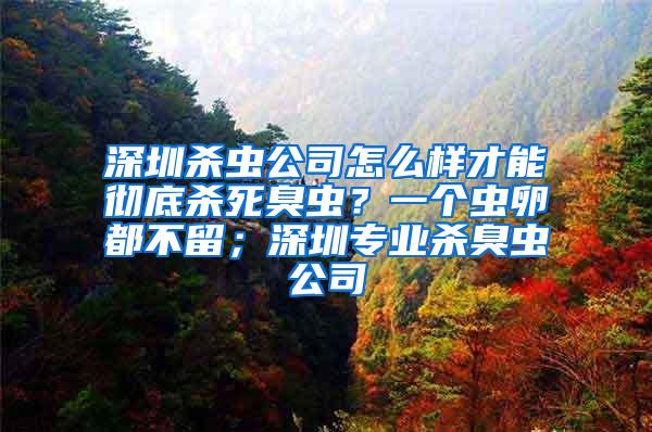 深圳杀虫公司怎么样才能彻底杀死臭虫？一个虫卵都不留；深圳专业杀臭虫公司