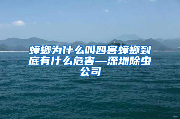 蟑螂为什么叫四害蟑螂到底有什么危害—深圳除虫公司