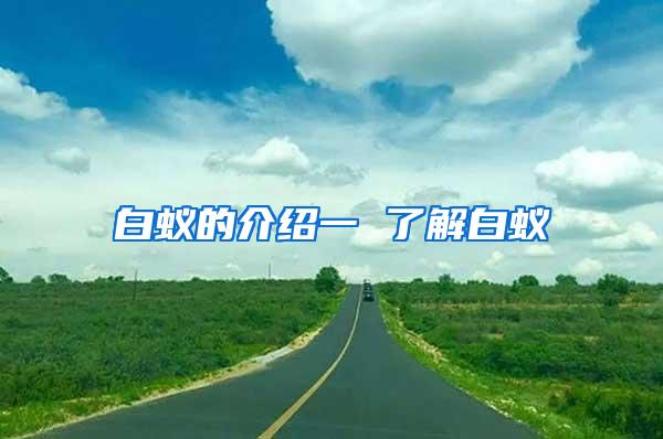 白蚁的介绍一 了解白蚁