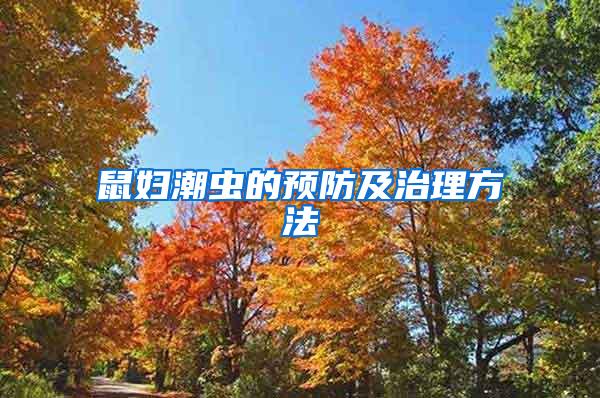 鼠妇潮虫的预防及治理方法