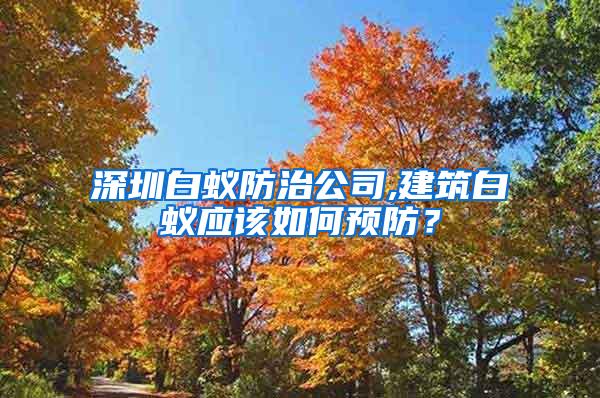 深圳白蚁防治公司,建筑白蚁应该如何预防？