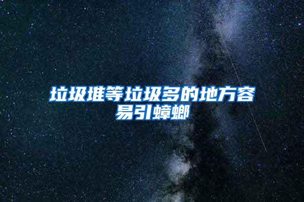 垃圾堆等垃圾多的地方容易引蟑螂