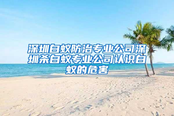 深圳白蚁防治专业公司深圳杀白蚁专业公司认识白蚁的危害