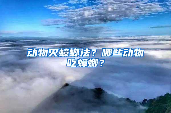 动物灭蟑螂法？哪些动物吃蟑螂？