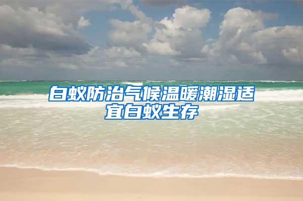 白蚁防治气候温暖潮湿适宜白蚁生存