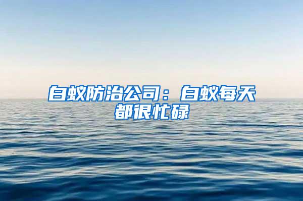 白蚁防治公司：白蚁每天都很忙碌