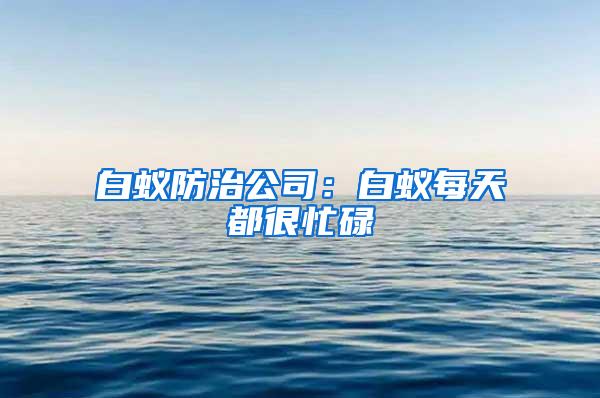 白蚁防治公司：白蚁每天都很忙碌