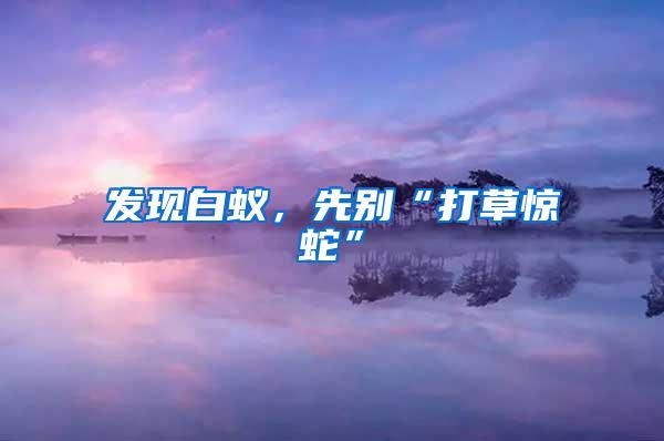 发现白蚁，先别“打草惊蛇”