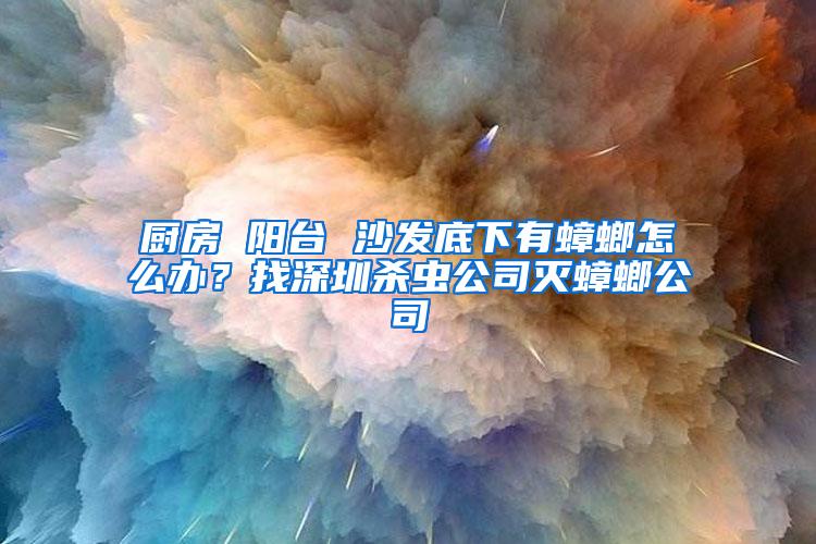 厨房 阳台 沙发底下有蟑螂怎么办？找深圳杀虫公司灭蟑螂公司